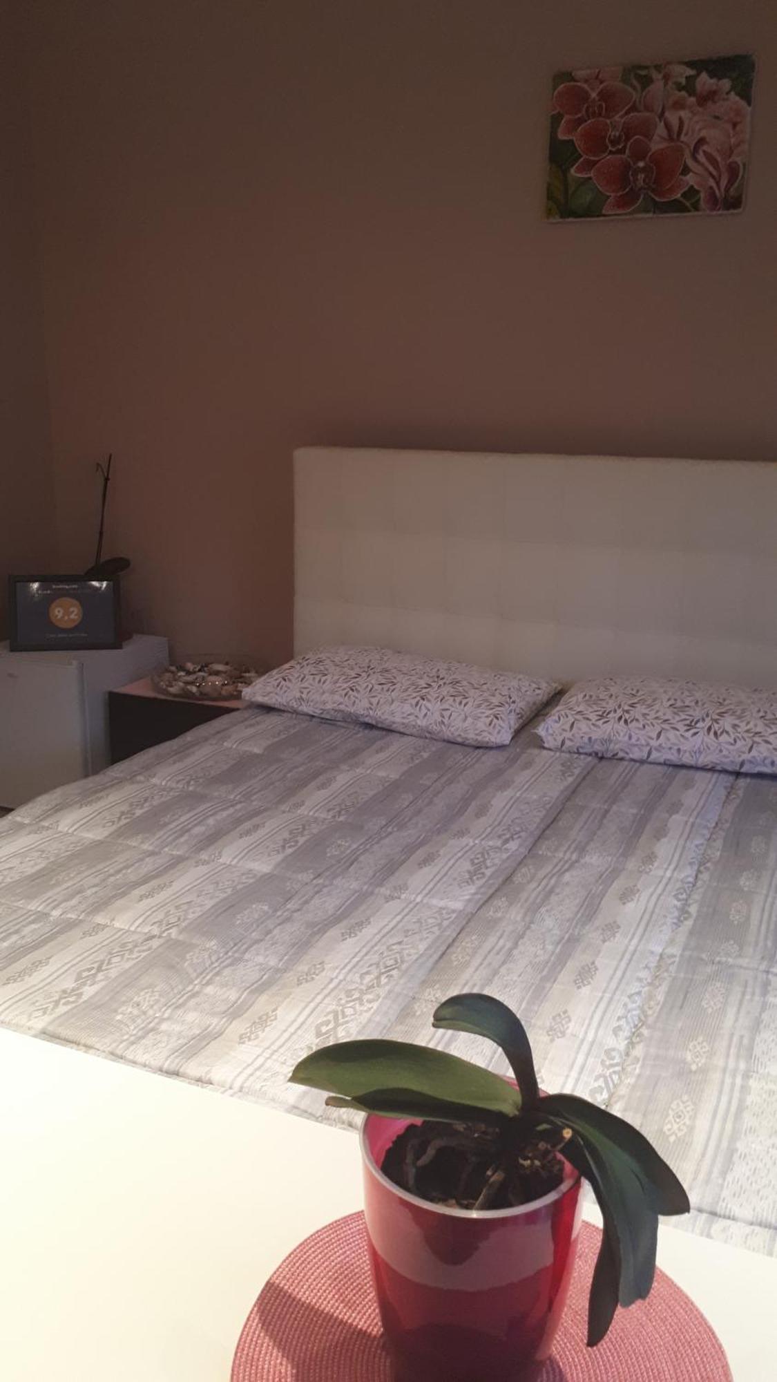 Casa Delle Orchidee Hotel Alba  Ruang foto